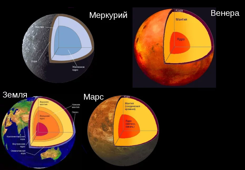 Внутреннее строение планет земной группы - Меркурия, Венеры, Земли и Марса