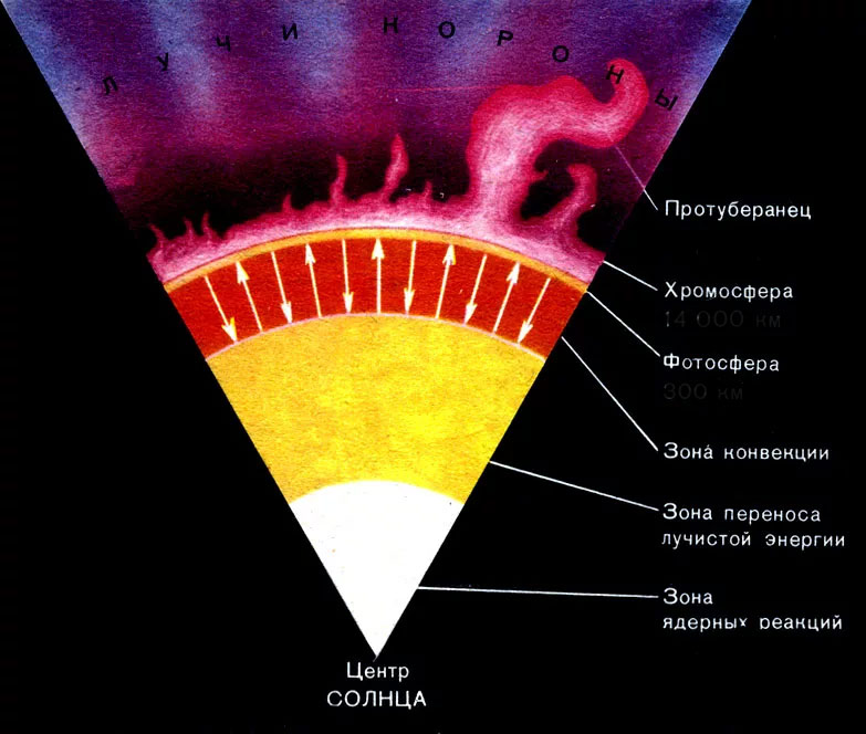 Внутреннее строение недр Солнца: ядро, зона конвекции, фото и хромосфера, солнечная корона