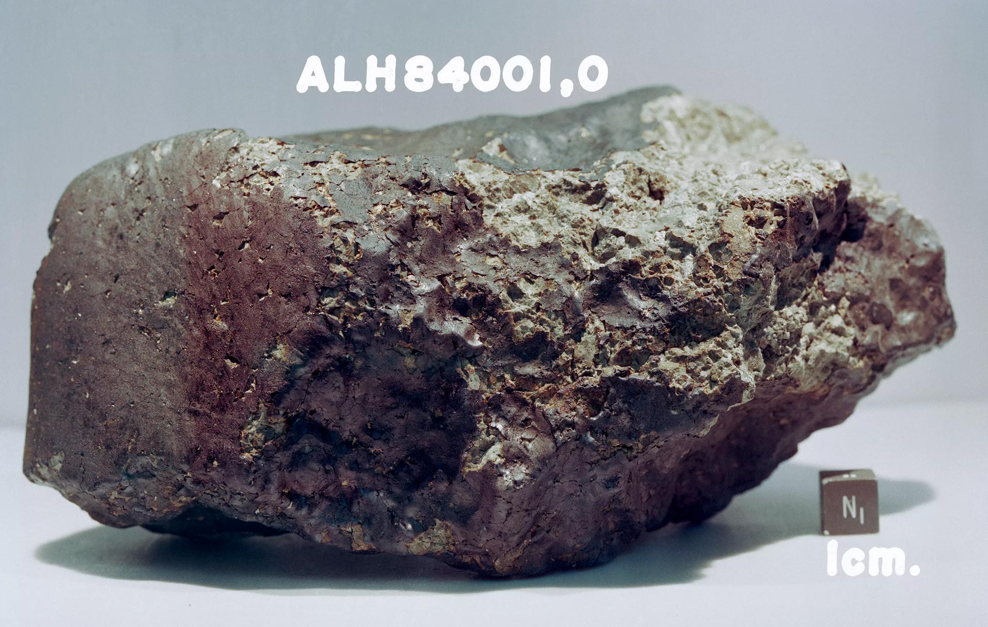 Тот самый метеорит с Марса ALH 84001 в котором обнаружились предполагаемые остатки бактерий