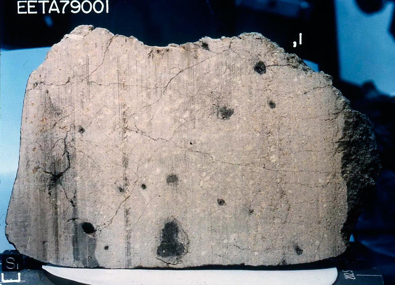 Этот невзрачный кусок камня - метеорит EETA 79001.